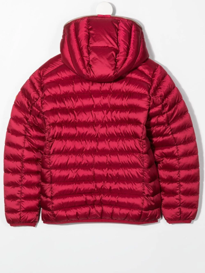 Shop Save The Duck Logo-patch Quilted Jacket In Red