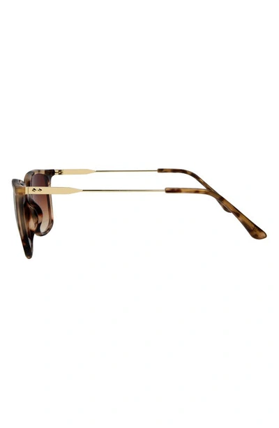 Shop Suzy Levian 56mm Square Tortoise Shell Sunglasses In Beige