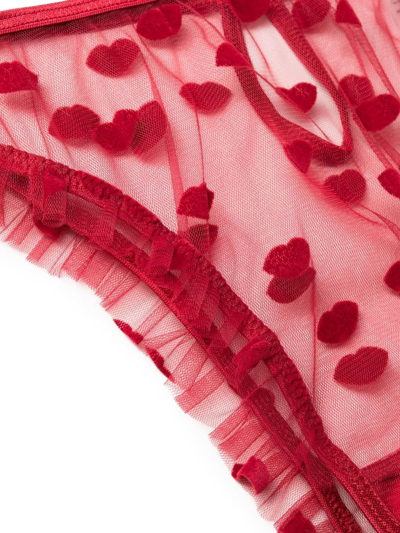 Le Petit Trou Bouche Embroidered Briefs In Red