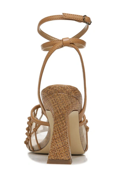 Shop Sam Edelman Candice Ankle Strap Sandal In Light Brown