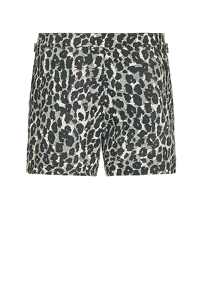 Shop Tom Ford Printed Poplin Swim Short In Grey Leopard