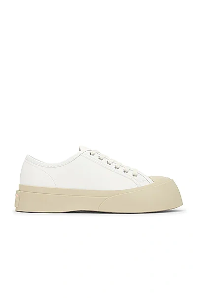 Shop Marni Pablo Lace-up Sneakers In Lily White