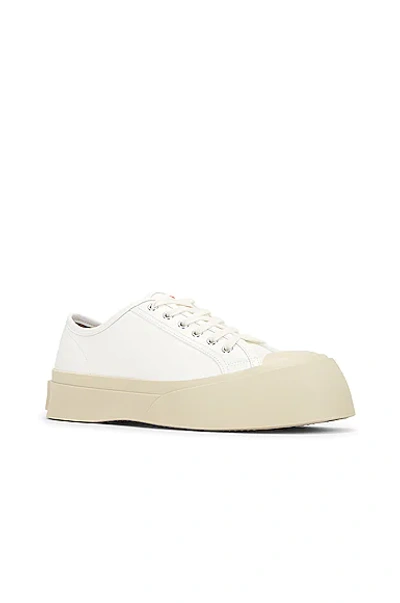Shop Marni Pablo Lace-up Sneakers In Lily White