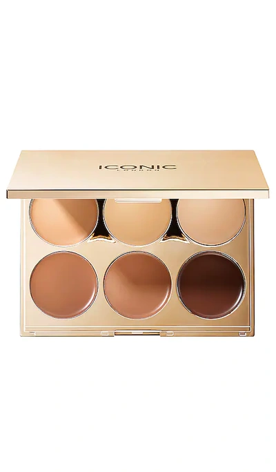 Shop Iconic London Multi-use Sculpting Palette In N,a