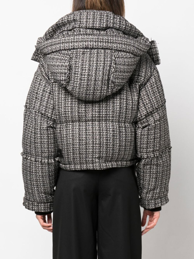 Shoreditch Ski Club Black And White Willow Leah Tweed Puffer Jacket In Blkwht Black White