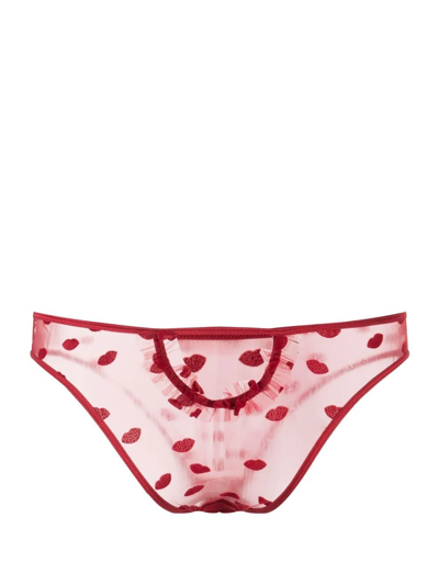 Le Petit Trou Bouche Embroidered Briefs In Red