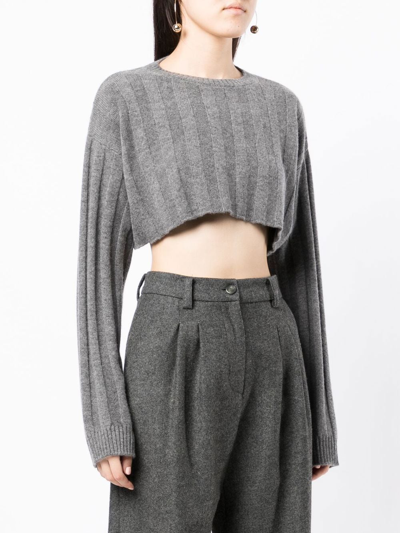 Cashmere In Love Remy Cropped Knit Top In Grey