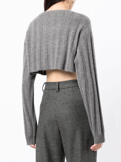 Cashmere In Love Remy Cropped Knit Top In Grey
