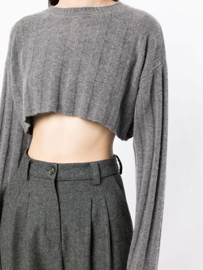 Cashmere In Love Remy Cropped Knit Top In Grey