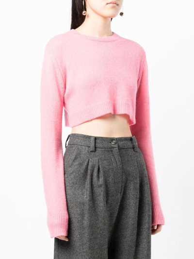 Shop Cashmere In Love Ribbed-trim Cropped Jumper In Pink