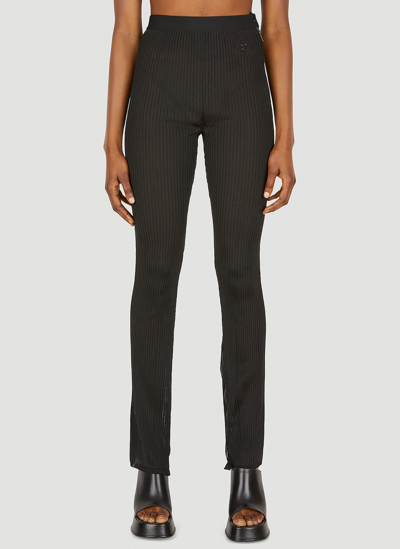 Courrèges Transparent Knit Pants In Black