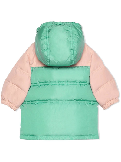 Shop Gucci Two-tone Padded Coat In Green