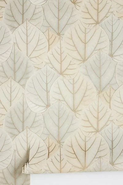 Shop York Wallcoverings Leaf Concerto Wallpaper In Brown