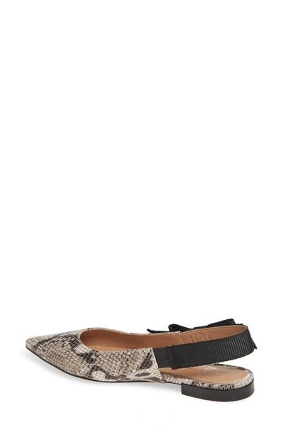 Shop Linea Paolo Darcy Ii Slingback Flat In White/ Black/ Taupe Leather