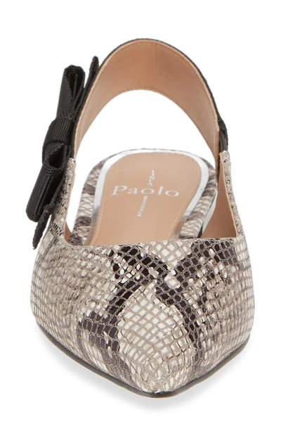 Shop Linea Paolo Darcy Ii Slingback Flat In White/ Black/ Taupe Leather