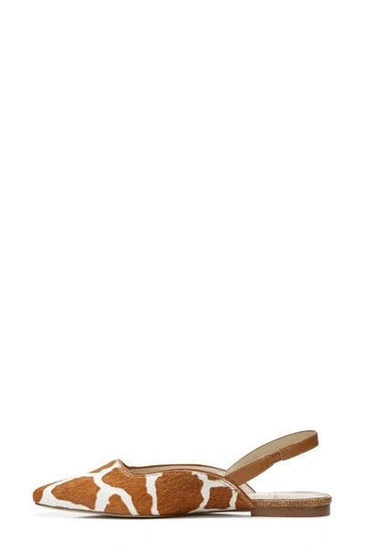 Shop Sam Edelman Connell Slingback Flat In Ivory/ Tan