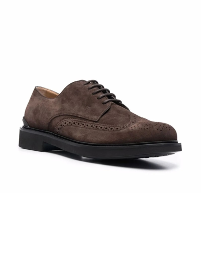 Shop Tod's Semi Formale Oxford Shoes In Brown/black