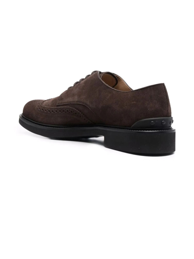 Shop Tod's Semi Formale Oxford Shoes In Brown/black