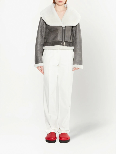Jw Anderson Shawl Collar Aviator Jacket In Grey