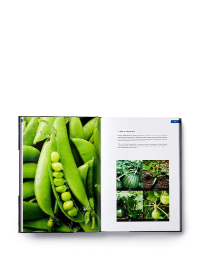 Phaidon Press Unelaborated Products: Definition And Classification In Blue