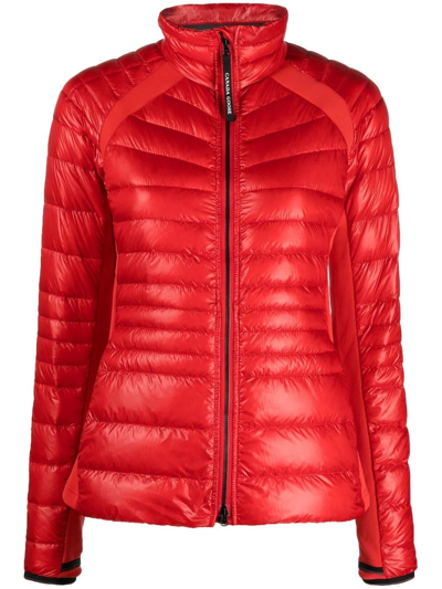 Shop Canada Goose Hybridge Lite Padded Jacket In Red