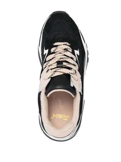 Ash Sneakers In Black