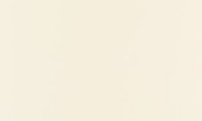 Shiseido Waso Koshirice Acne Calming Spot Treatment