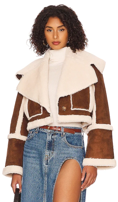 Shop Lovers & Friends Dutton Cropped Jacket In Sepia Brown