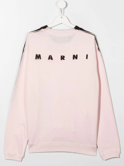 Shop Marni Teen Logo-print Sprayed-edge Sweatshirt In Rosa