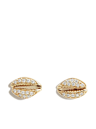 Sydney Evan 14kt Yellow Gold Cowrie Shell Diamond Stud Earrings In Yellow Gold