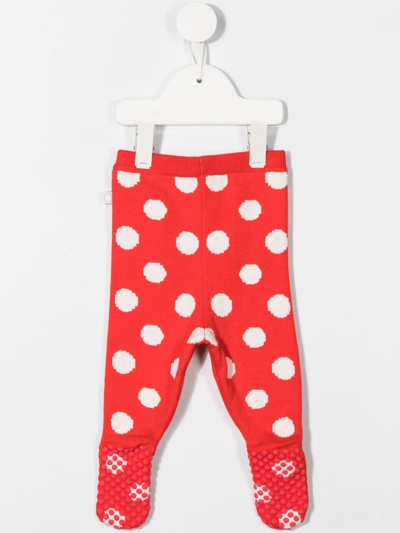 Shop Stella Mccartney Polka-dot Knit Leggings In Red