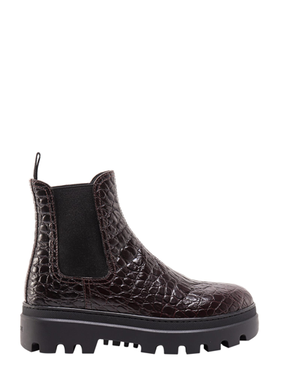 Shop Car Shoe Ankle Boots In Brown