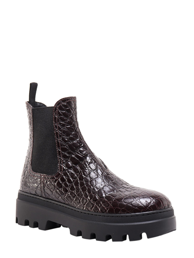 Shop Car Shoe Ankle Boots In Brown