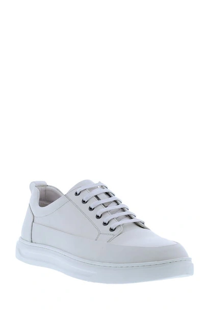 Shop English Laundry Jones Low Top Sneaker In White