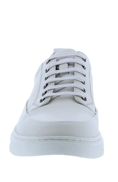 Shop English Laundry Jones Low Top Sneaker In White