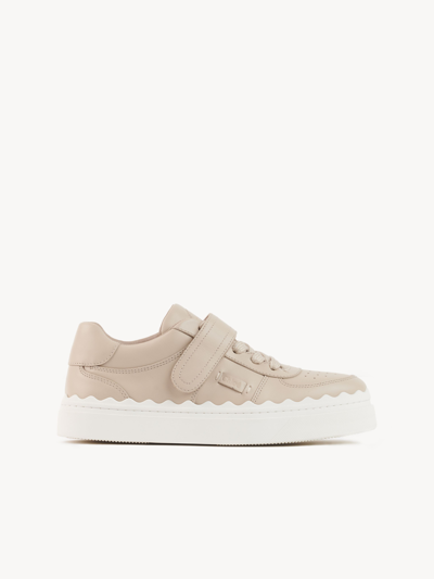 Shop Chloé Lauren Sneaker With Strap Beige Size 9 100% Sheepskin
