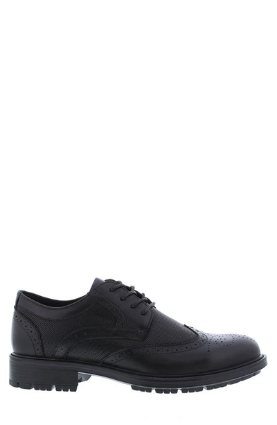 Shop English Laundry Fame Brogue Leather Derby In Black
