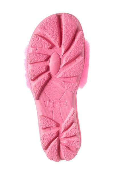 Shop Ugg Cozette Genuine Shearling Slipper In Taffy Pink