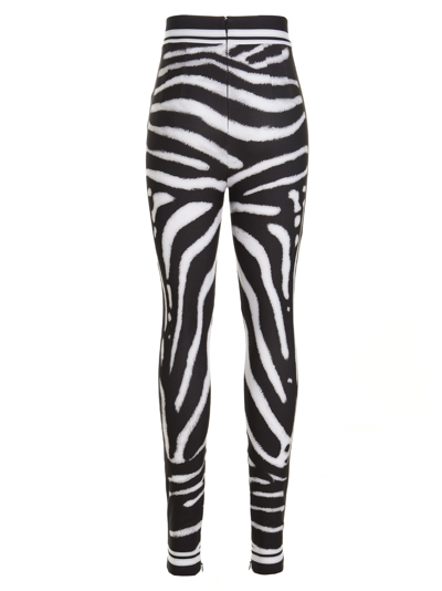 Shop Dolce & Gabbana Zebra Leggings In White/black