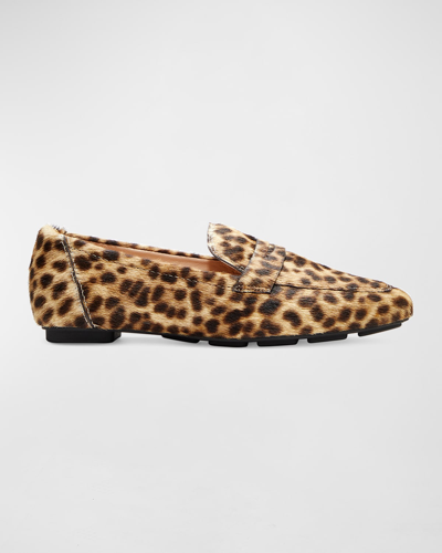 Shop Stuart Weitzman Jet Leopard Fur Penny Loafers In Cream