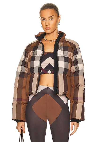 Shop Burberry Cropped Check Down Jacket With Snow Skirt In Dark Birch Brown Check