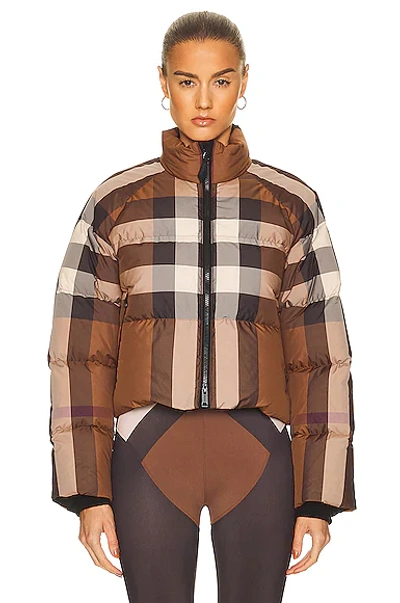Shop Burberry Cropped Check Down Jacket With Snow Skirt In Dark Birch Brown Check