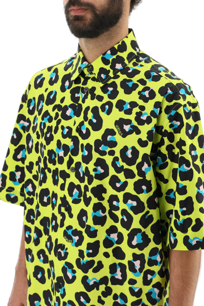 Shop Versace Daisy Leopard Shirt In Yellow