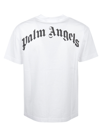 Shop Palm Angels Pa Bear Classic T-shirt In White Brown