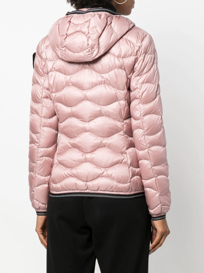 Blauer Logo-patch Padded Jacket In Pink