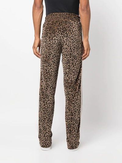 Shop Palm Angels Leopard-print Track Pants In Brown
