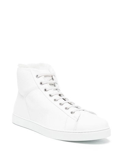 Shop Gianvito Rossi Peter Leather High-top Sneakers In White