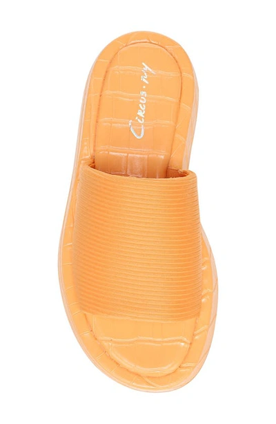 Shop Circus By Sam Edelman Latasha Slide Sandal In Orange Cream