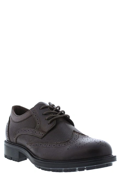 Shop English Laundry Fame Brogue Leather Derby In Brown