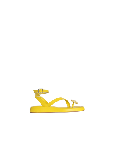 Shop Gia Borghini Shoes Rosie 18 Gia/rhw Leather Sandal In Yellow